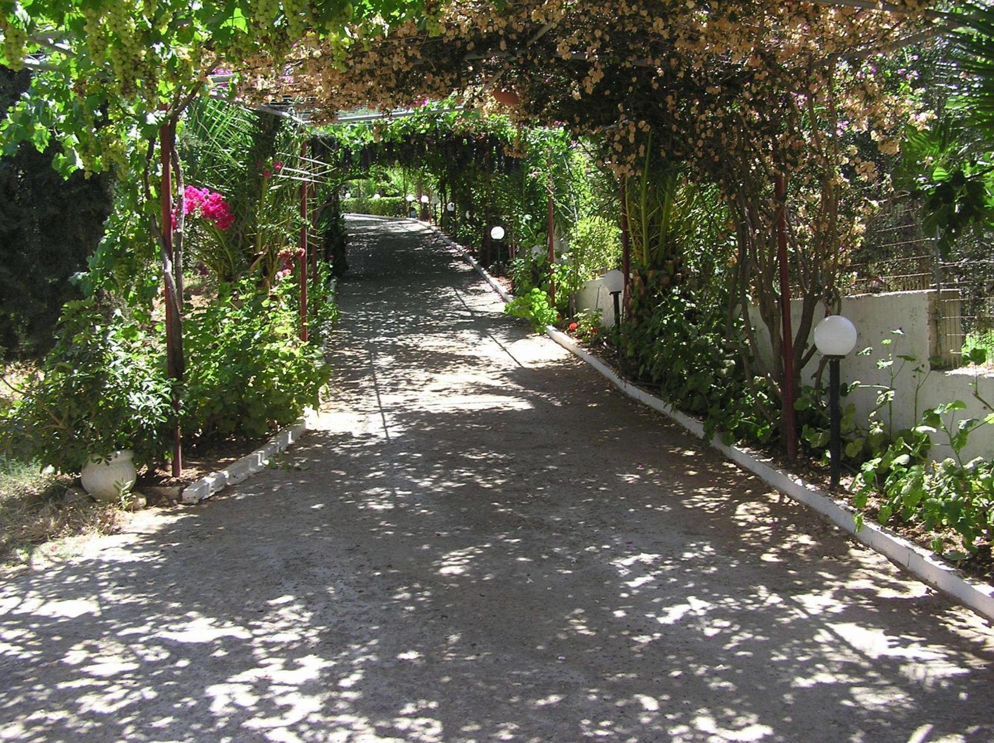 Knossos Aparthotel Panormos  Bagian luar foto