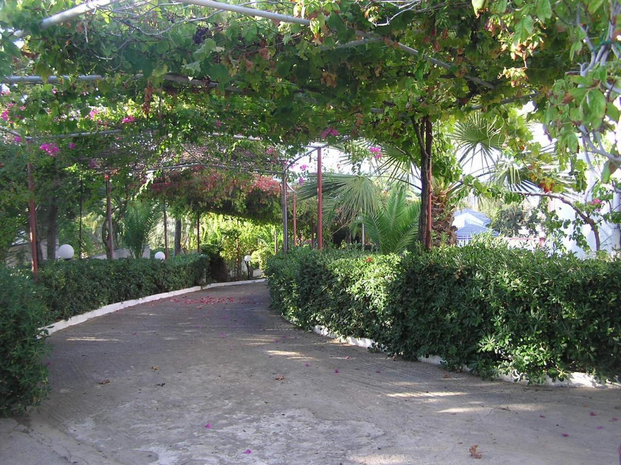 Knossos Aparthotel Panormos  Bagian luar foto