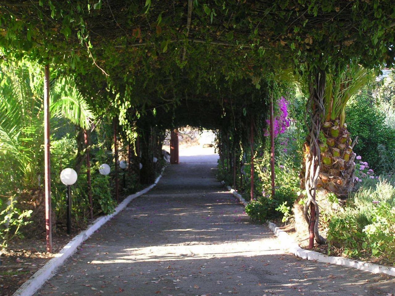 Knossos Aparthotel Panormos  Bagian luar foto