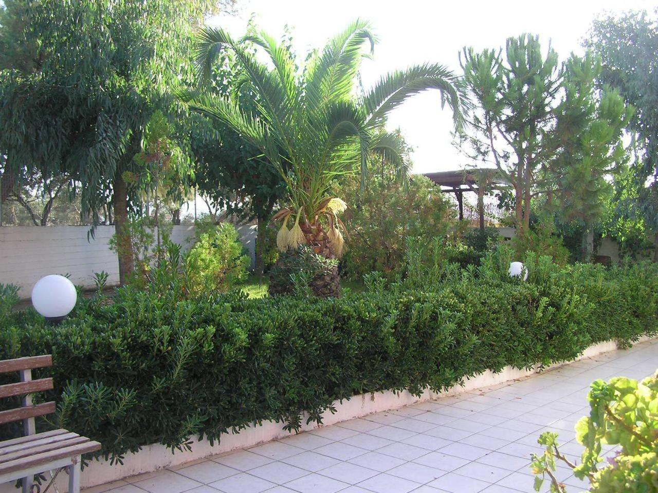 Knossos Aparthotel Panormos  Bagian luar foto