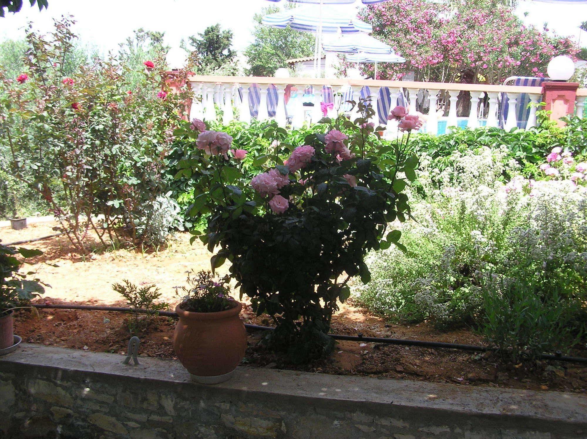 Knossos Aparthotel Panormos  Bagian luar foto
